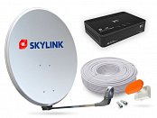 Skylink