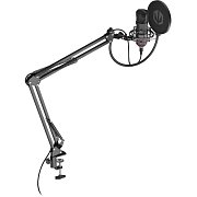 Solum Microphone Solum USB-C ENDORFY