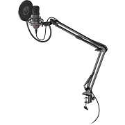 Solum Microphone Solum USB-C ENDORFY