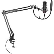 Solum Microphone Solum USB-C ENDORFY