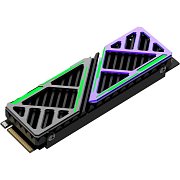 SSD FUTURE 512GB, M.2 2280, PCIe HIKSEMI