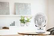 Stolní ventilátor s dálkovým ovládáním - DOMO DO8148