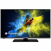 Televize GoGEN TVF 43M552 STWEB