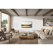 TV 55Z90AEG OLED TV PANASONIC