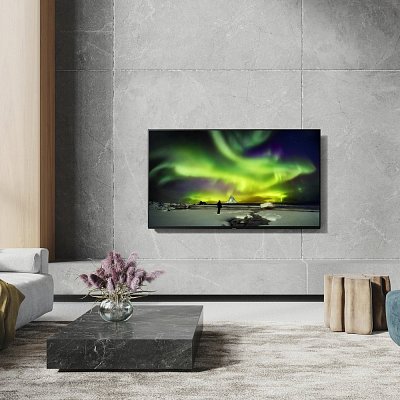 TX 65LZ1000E OLED ULTRA HD TV PANASONIC