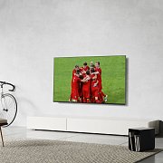 TX 75LX800E LED ULTRA HD TV PANASONIC