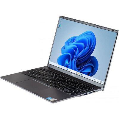 VisionBook 15WNPlus 15,6 8/256 W11P UMAX