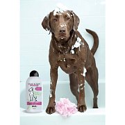 Wahl 3999-7030 dog shampoo c&c 750 ml