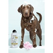 Wahl 3999-7040 dog shampoo oat 750 ml