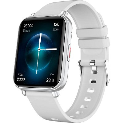 WATCH 4 Artic silver NICEBOY
