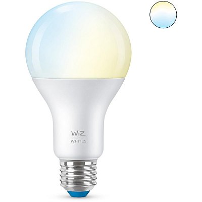 WiZ White 13W(100W)E27 A67 1521 PHILIPS