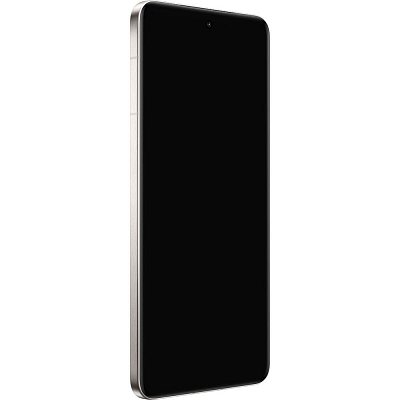 X200 Pro 16/512GB Titanium VIVO