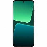 Xiaomi 13 8/256GB Flora Green XIAOMI