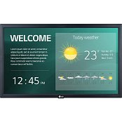 22SM3G monitor LG