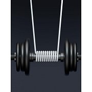 71541014 USB C /USB C 1,5M SWISSTEN