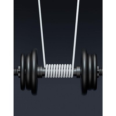 71541014 USB C /USB C 1,5M SWISSTEN