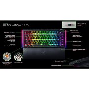 BlackWidow V4 75% US Layout Black RAZER