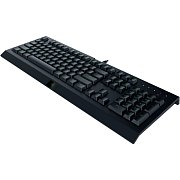 Cynosa Lite - US Layout RAZER