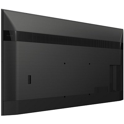 FW 65BZ40H/1 monitor SONY