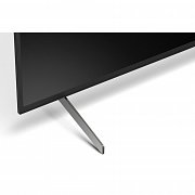 FW 65BZ40H/1 monitor SONY