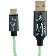 Harry Potter USB-C charg. ca. LAZERBUILT