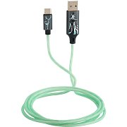 Harry Potter USB-C charg. ca. LAZERBUILT