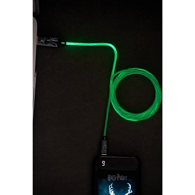 Harry Potter USB-C charg. ca. LAZERBUILT
