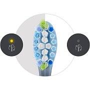 HX9042/88 NÁHR. HL. KARTÁČKU 2KS PHILIPS