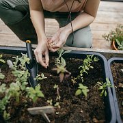 Lopatka Solid přesazovací FISKARS