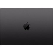 MB Pro 14 M5 10/10C 16/1000GB Black