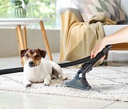 Multifunkční čistič skvrn - DOMO DO250SC