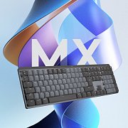 MX Mechanical Graphite US INTL LOGITECH