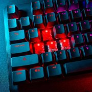 ORYX K610 Chameleon NICEBOY