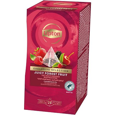 PYRAMID FOREST FRUIT 25 SÁČKŮ LIPTON