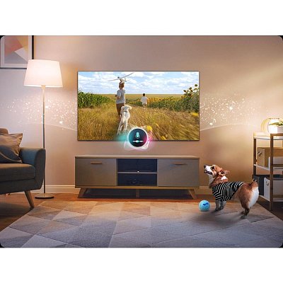 QE55QN80F Neo QLED TV SAMSUNG
