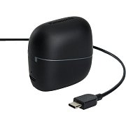 RB F10 TWS BLK PANASONIC