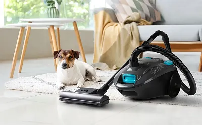 Sáčkový vysavač - ANIMAL - DOMO DO42103S