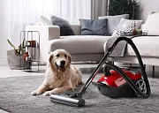 Sáčkový vysavač - ANIMAL PRO - DOMO DO42104S