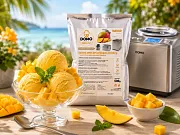 Směs na výrobu zmrzliny s příchutí manga - DV-MANGO