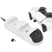 TAKEDOWN charg. station PS5 gamepad WS