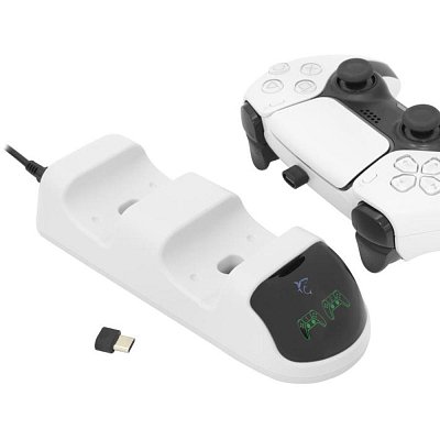 TAKEDOWN charg. station PS5 gamepad WS