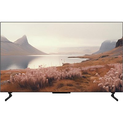 TB 55Z60A OLED TV PANASONIC