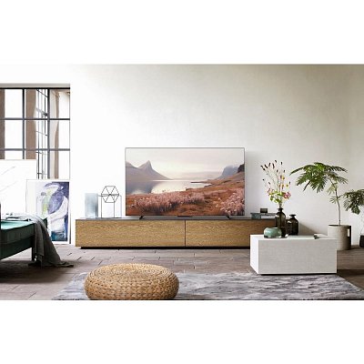 TB 55Z60A OLED TV PANASONIC
