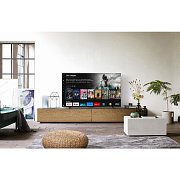 TB 55Z60A OLED TV PANASONIC