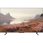 TB 65Z60A OLED TV PANASONIC