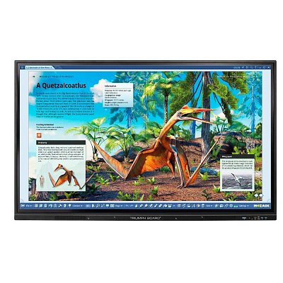 TB 7525G IFP BLACK TRIUMPH BOARD