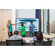 TB 7525G IFP BLACK TRIUMPH BOARD