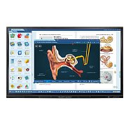 TB 8625G IFP BLACK TRIUMPH BOARD