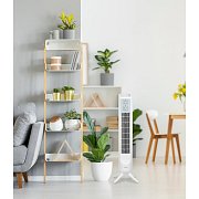 TOWER T802 SLOUPOVÝ VENTILÁTOR ARDES