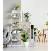 TOWER T803 SLOUPOVÝ VENTILÁTOR ARDES